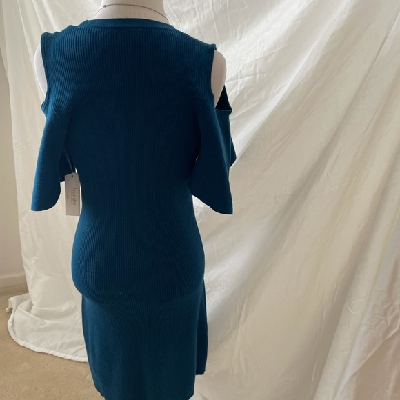 Sweeter blue dress style. Size L - Picture 8 of 11